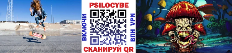 Купить закладки  Холмск  Псилоцибиновые грибы MAGIC MUSHROOMS 